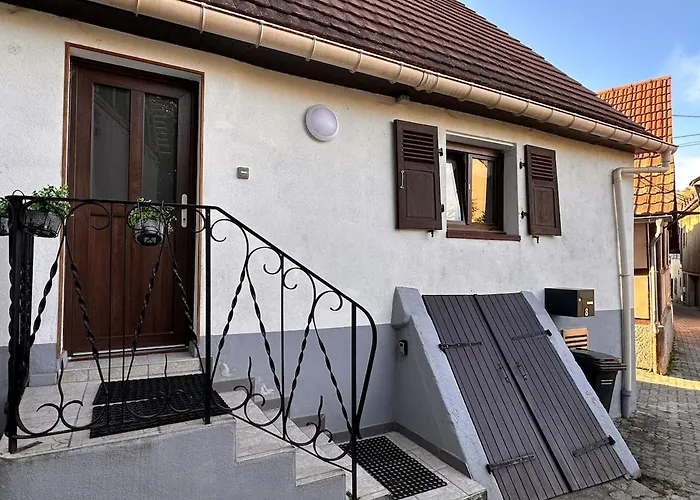 Le Nid Cosy D\'Obernai /2Min Centre Ville/Parking