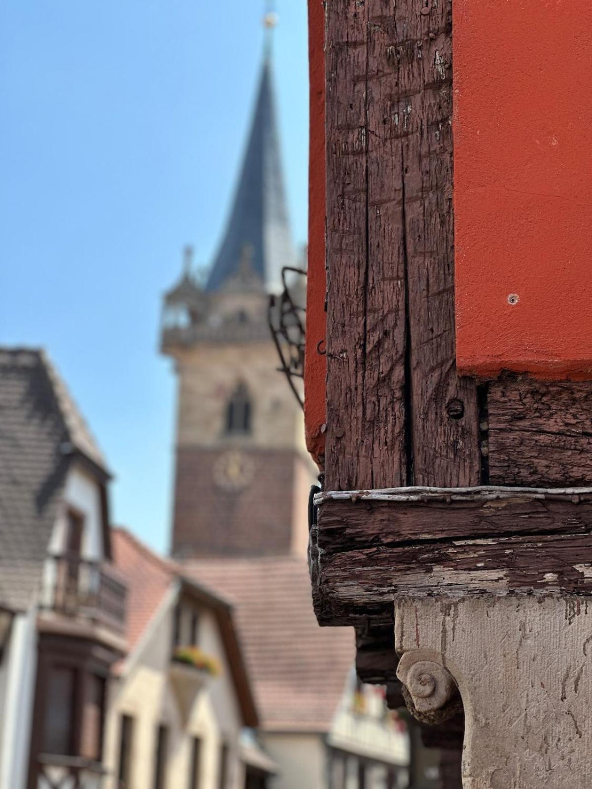 Holiday home Le Nid Cosy D'obernai /2min Centre Ville/parking Obernai