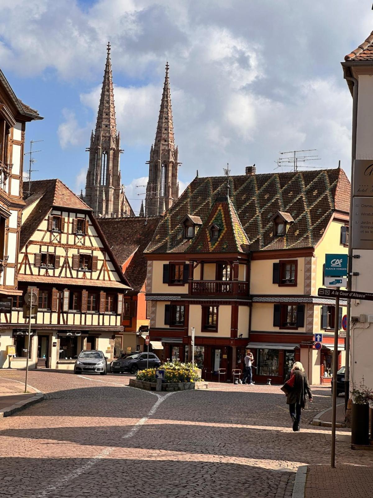Le Nid Cosy D'obernai /2min Centre Ville/parking Obernai