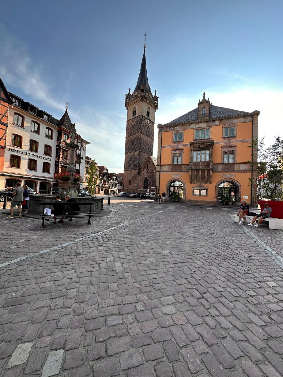 Le Nid Cosy D'obernai /2min Centre Ville/parking Holiday home Obernai