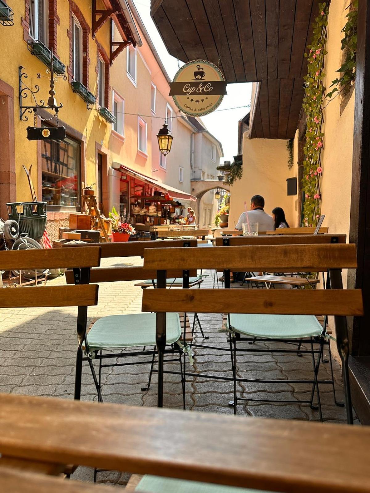 Le Nid Cosy D'obernai /2min Centre Ville/parking *