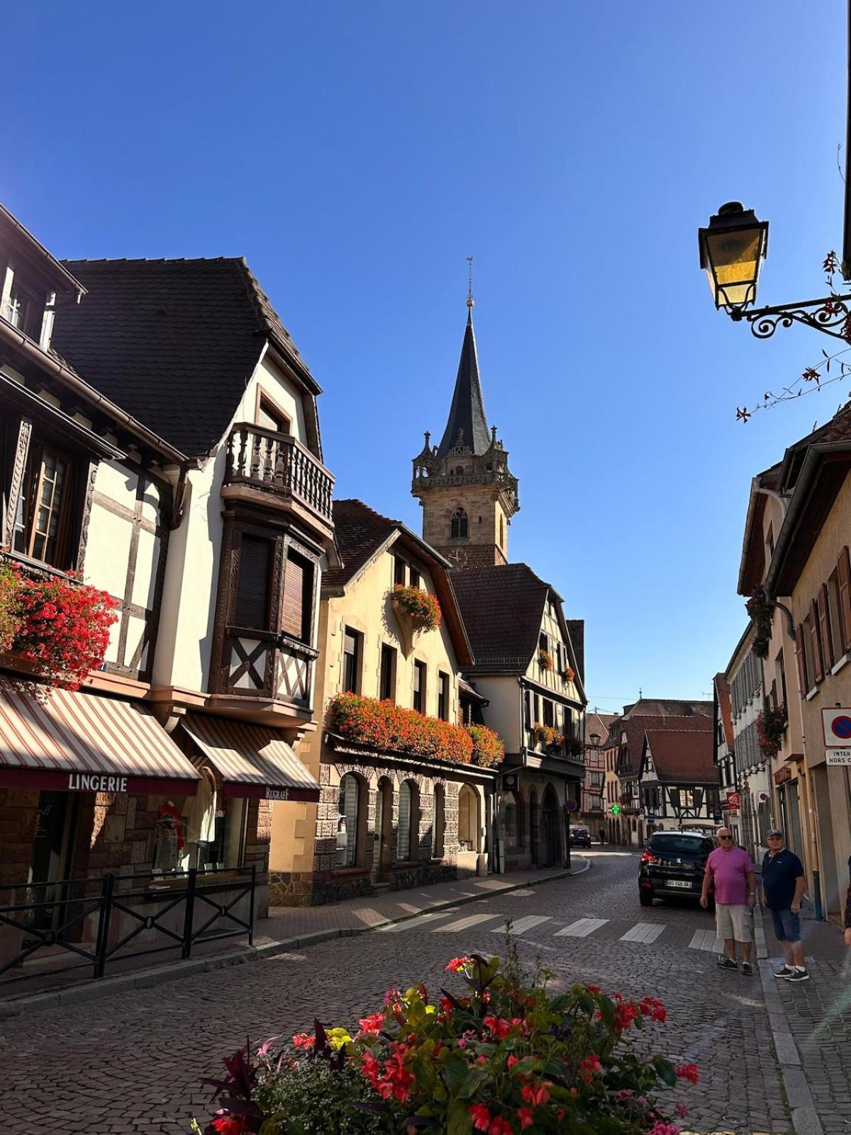 Le Nid Cosy D'obernai /2min Centre Ville/parking Obernai