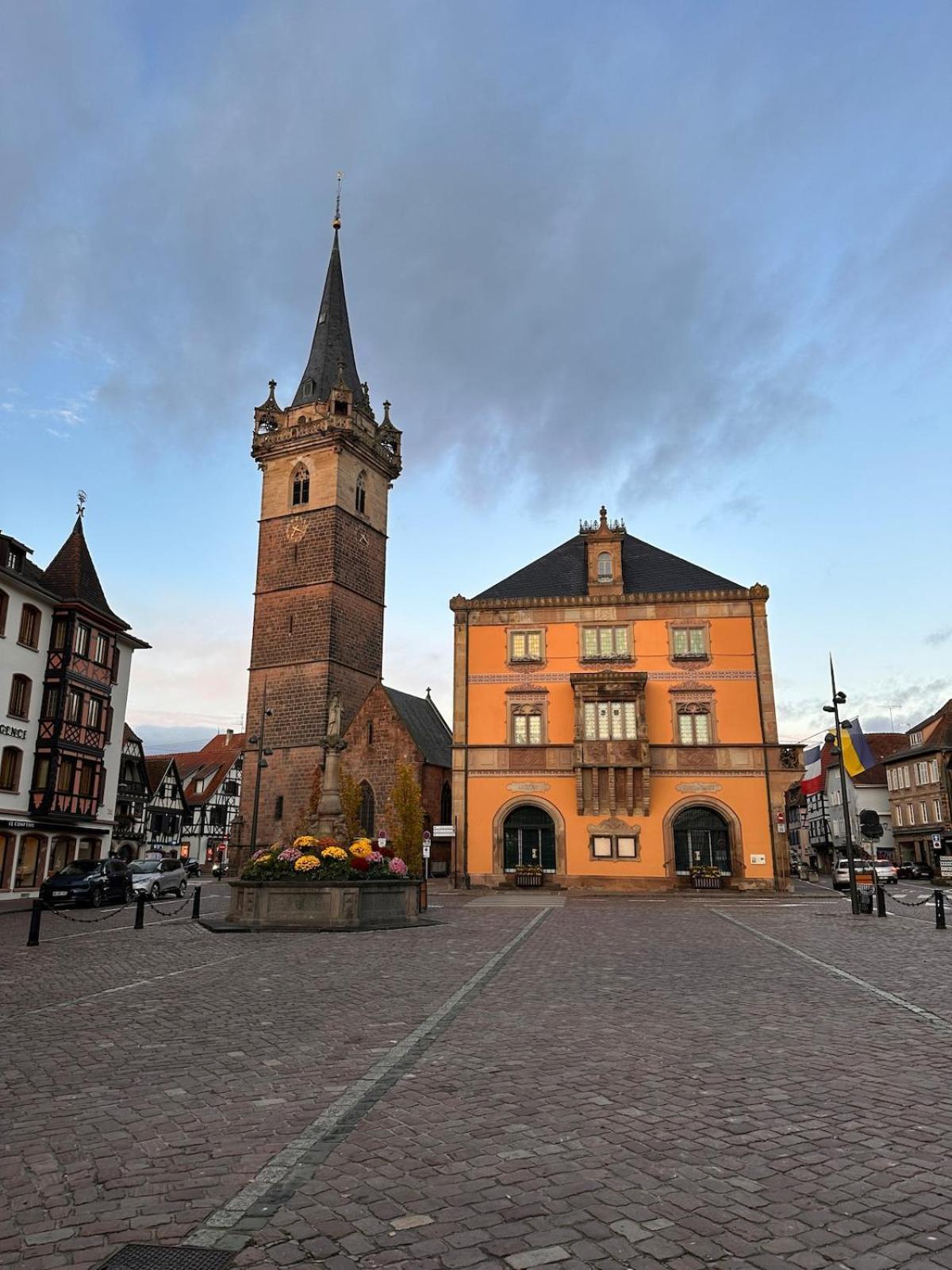 Le Nid Cosy D'obernai /2min Centre Ville/parking * Obernai