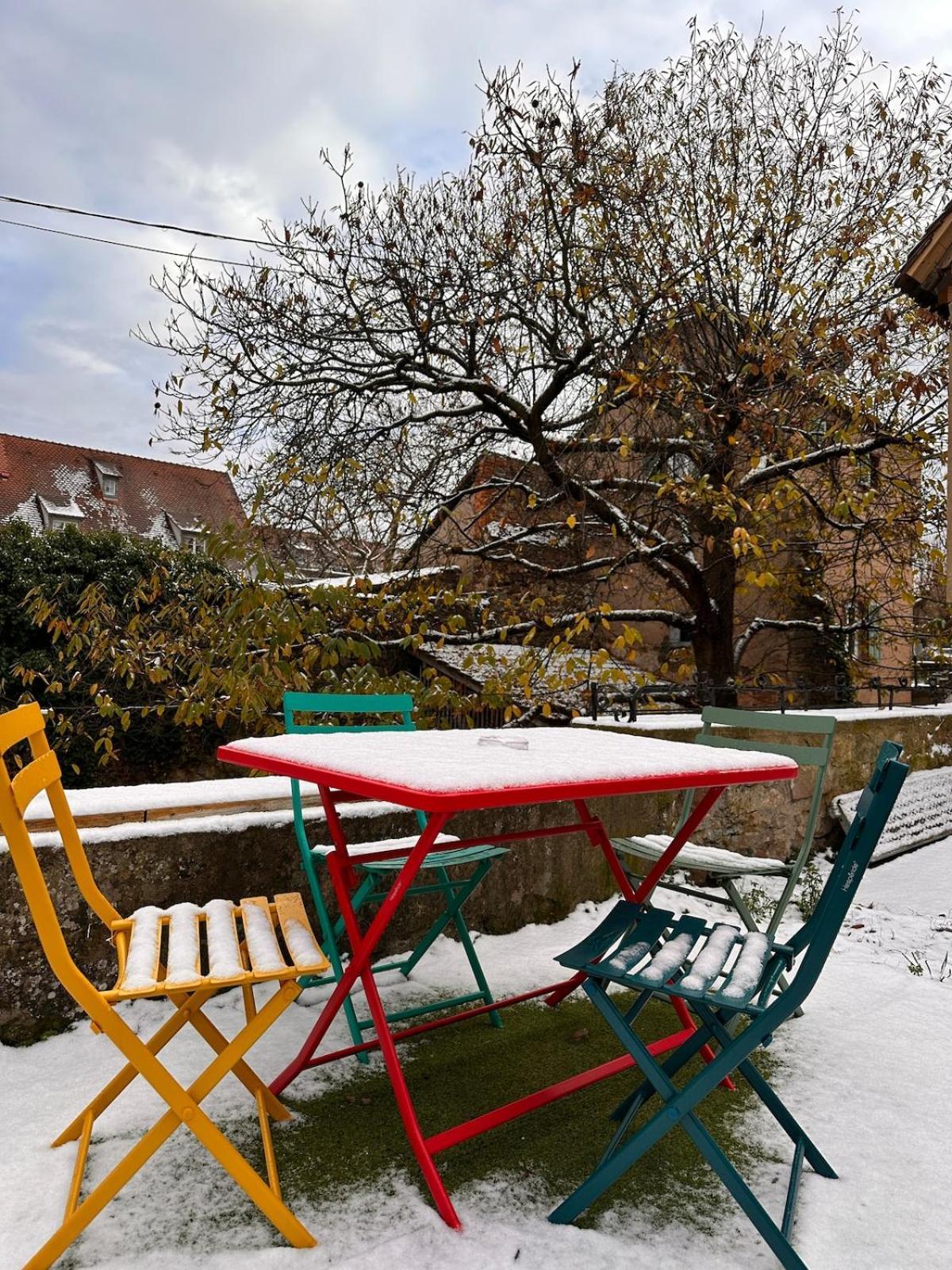 Le Nid Cosy D'obernai /2min Centre Ville/parking Holiday home