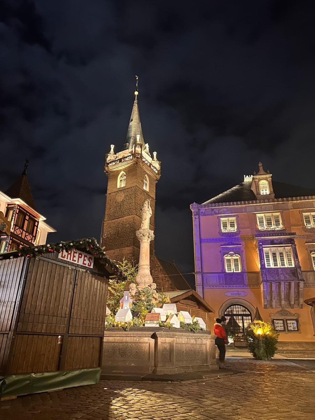 Holiday home Le Nid Cosy D'obernai /2min Centre Ville/parking